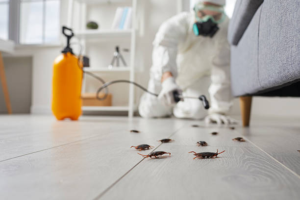 Trusted Termite Control service in Spinnerstown, PA - Nex Pest Control