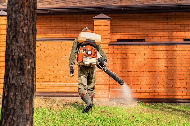 Trusted Bed Bug Control service in Spinnerstown, PA - Nex Pest Control
